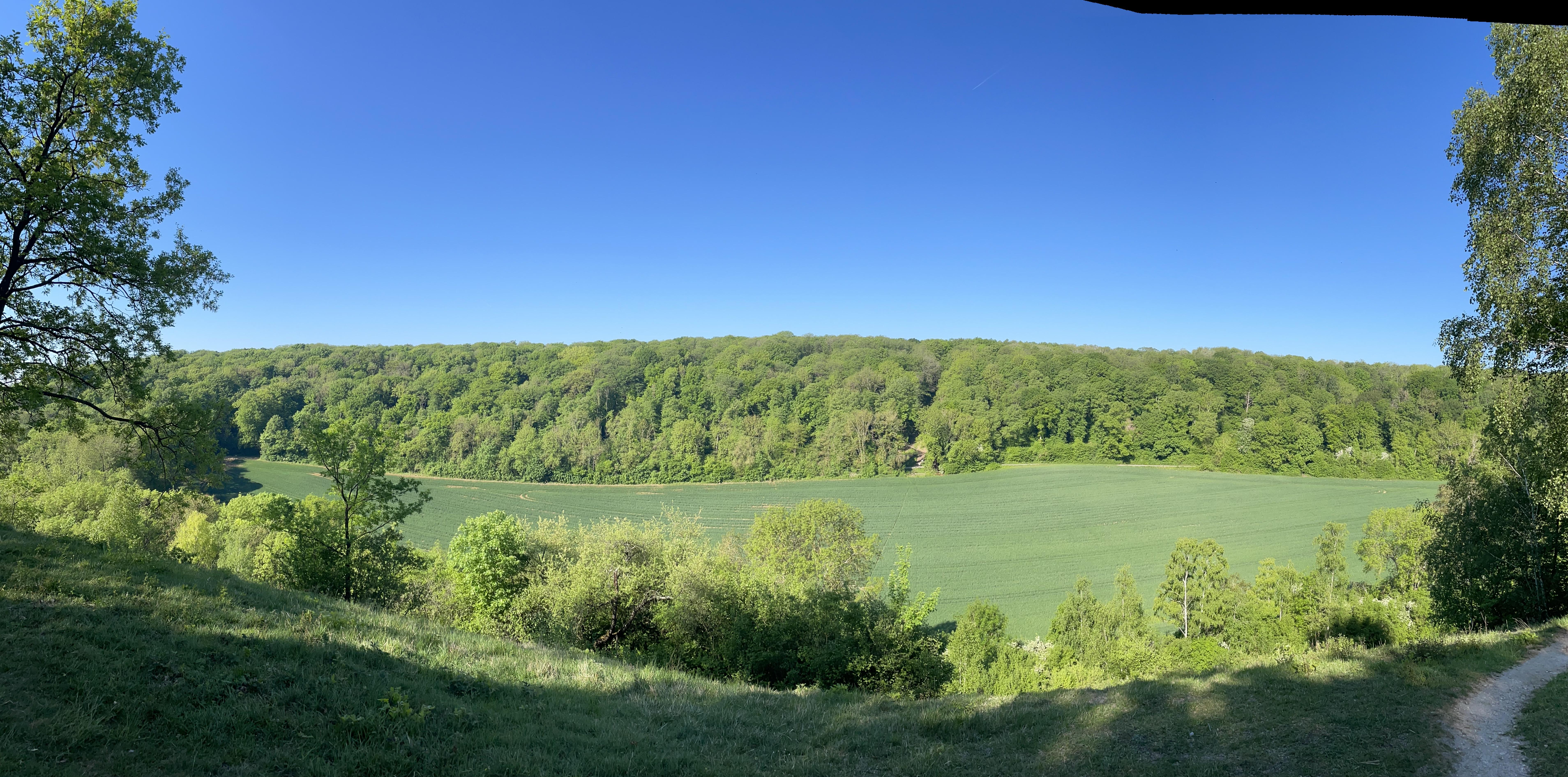 paysage